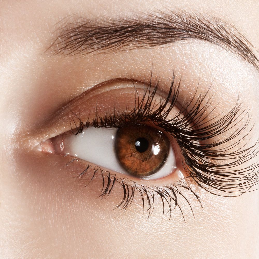 Close up of woman's brown eye and very long eyelashes