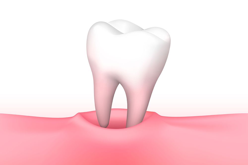 Illustration of a tooth