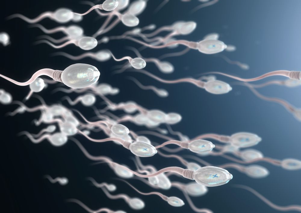 digital illustration of sperm