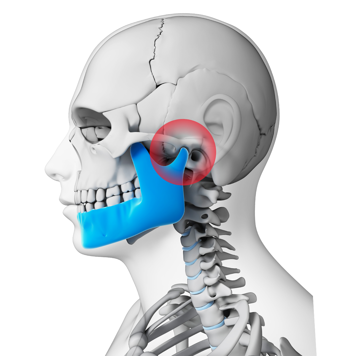 Can Tmj Cause Nerve Pain In Mouth